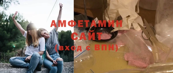 индика Алзамай