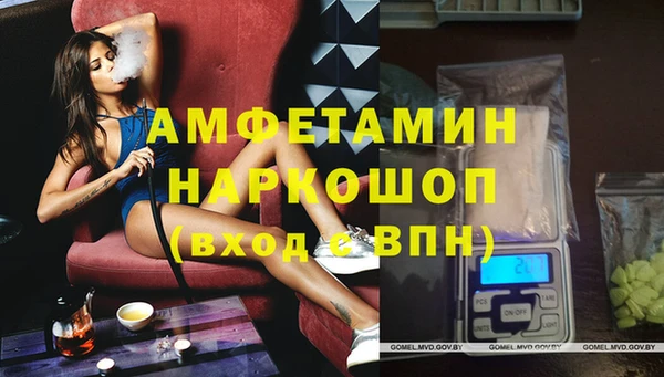 индика Алзамай