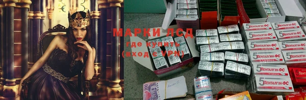 индика Алзамай