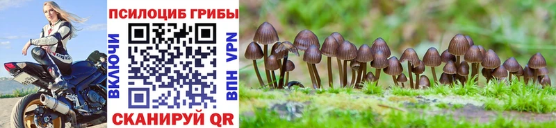 купить  цена  Биробиджан  Галлюциногенные грибы MAGIC MUSHROOMS 